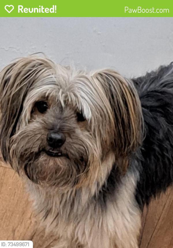 Reunited Male Dog last seen Near Frankford Ave, Panama City, FL 32405