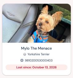 Lost Male Dog last seen Western, Oklahoma City, OK 73170