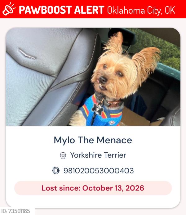 Lost Male Dog last seen Western, Oklahoma City, OK 73170