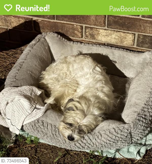Reunited Female Dog last seen Near the corner of nc-124 and Webbs lake rd, Edgecombe County, NC 27852
