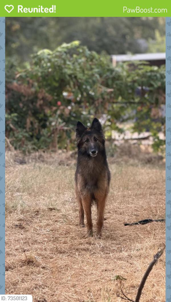 Reunited Female Dog last seen Everest and 18th St, Oklahoma City, OK 73129