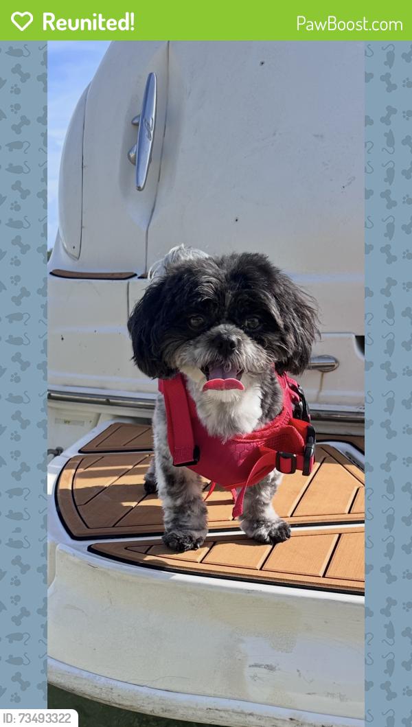 Reunited Male Dog last seen Near Crandon Blvd Key Biscayne, FL 33149 United States, Key Biscayne, FL 33149