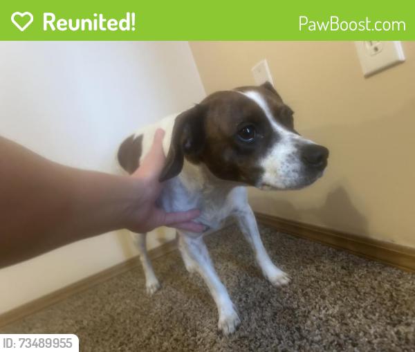 Reunited Female Dog last seen Near the river ranch apmt and McDonald, Ozark, MO 65721