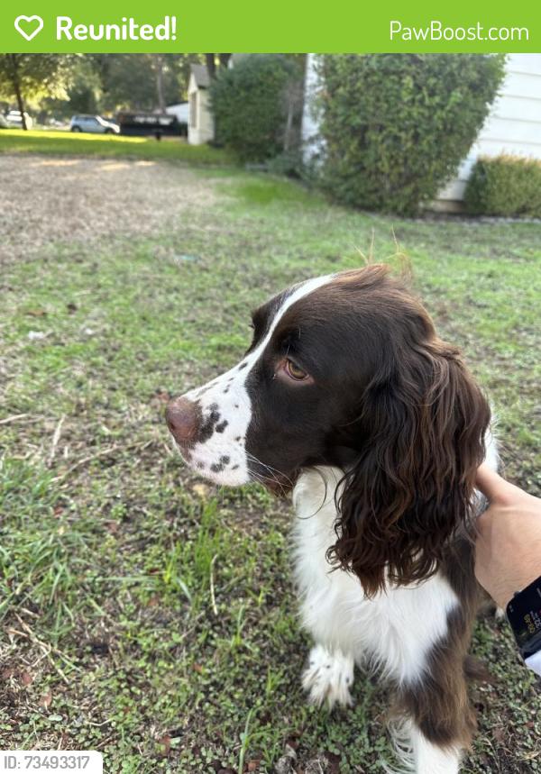 Reunited Unknown Dog last seen Edgehill and Locke, Fort Worth, TX 76116