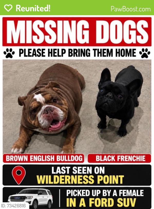 Reunited Female Dog last seen South woodland Hills neighborhood Kingwood Tx, Houston, TX 77339