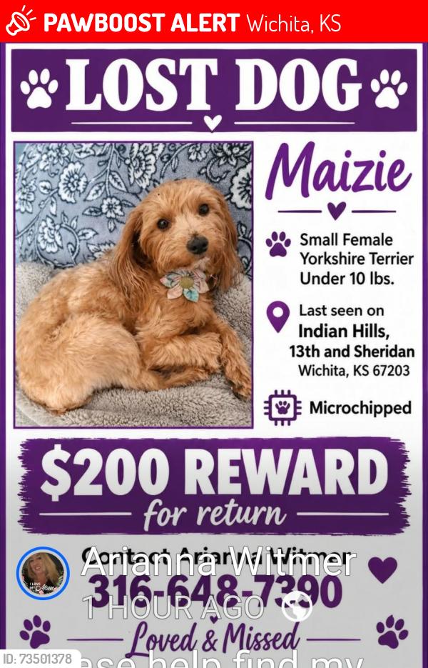 Lost Female Dog last seen 13th an Sheridan Wichita, KS 67203, Wichita, KS 67203