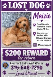 Lost Female Dog last seen 13th an Sheridan Wichita, KS 67203, Wichita, KS 67203