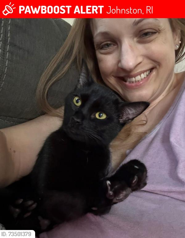 Lost Female Cat last seen Shore Drive, Johnston, RI 02919