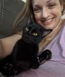 Lost Female Cat last seen Shore Drive, Johnston, RI 02919