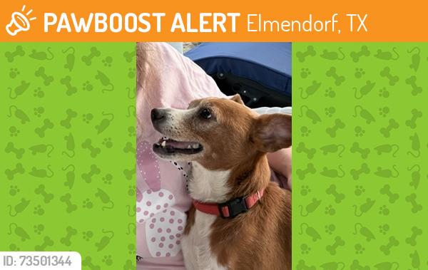 Found/Stray Female Dog last seen Braunig Lake, Elmendorf, TX 78112