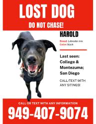 Reunited Male Dog last seen Near Tipton St, San Diego, CA 92115, USA, San Diego, CA 92115