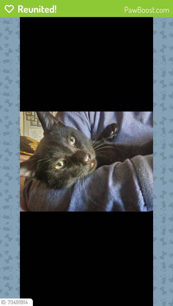 Reunited Male Cat last seen Near E Noble Dr, Edmond, OK 73034, USA, Edmond, OK 73034