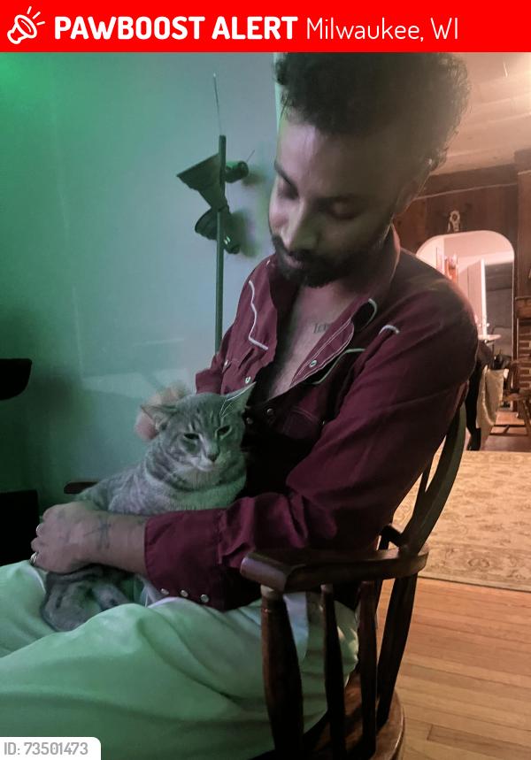 Lost Male Cat last seen Cambridge avenue and north avenue, Milwaukee, WI 53202