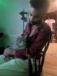 Lost Male Cat last seen Cambridge avenue and north avenue, Milwaukee, WI 53202