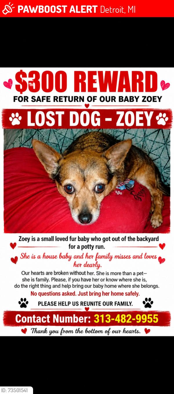 Lost Female Dog last seen Kelly Boulder, Detroit, MI 48205