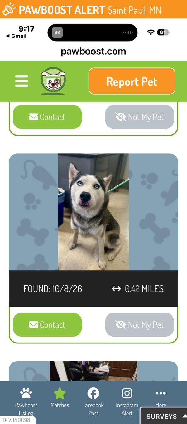 Found/Stray Female Dog last seen Selby and Cleveland, Saint Paul, MN 55102