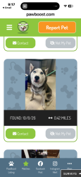 Found/Stray Female Dog last seen Selby and Cleveland, Saint Paul, MN 55102