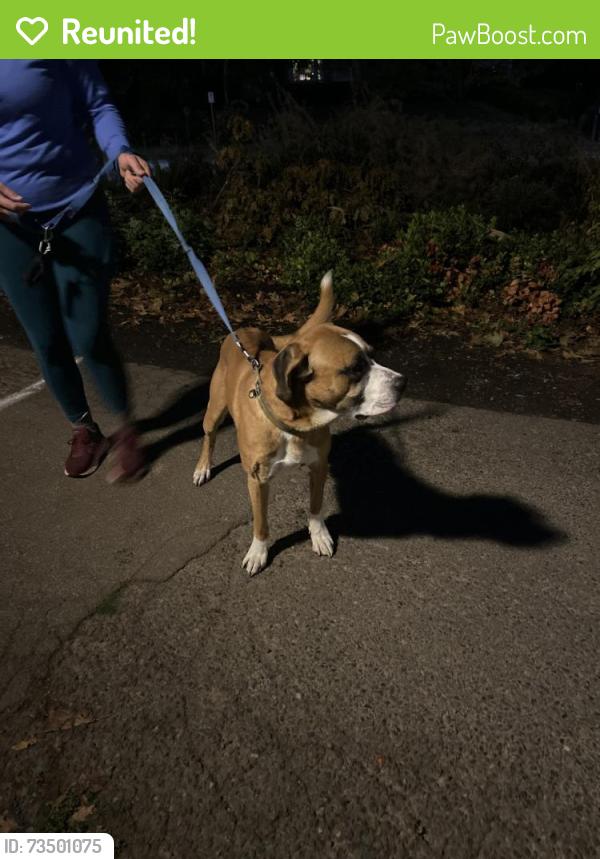 Reunited Male Dog last seen NE Morris and NE 7th, Portland, OR 97212