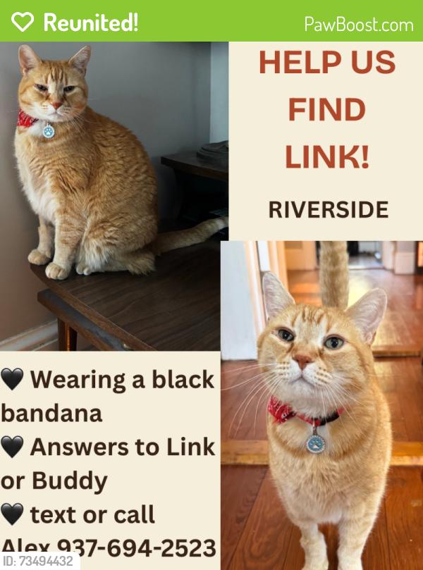 Reunited Male Cat last seen Knowlton & Bullocks Point Ave, East Providence, RI 02915