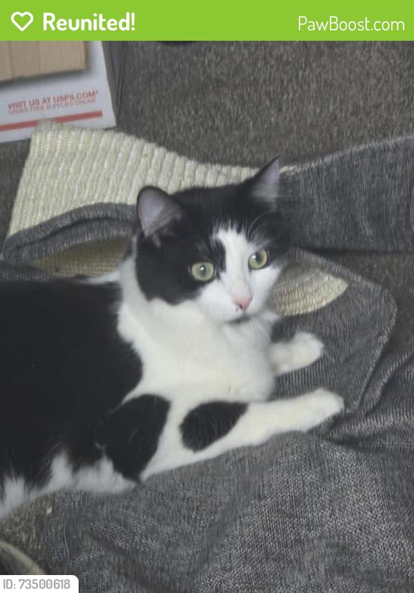 Reunited Female Cat last seen Paul parkway basketball court walking trail, Blaine, MN 55434