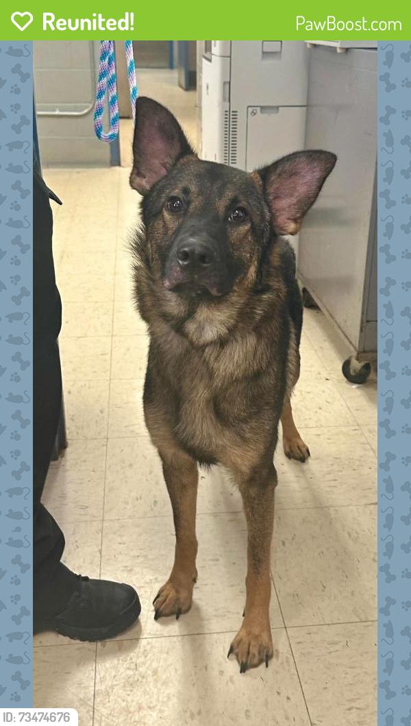 Reunited Male Dog last seen Sims and Cypress, Saint Paul, MN 55106