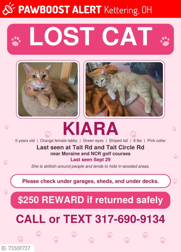 Lost Female Cat last seen Near Moraine golf course on Tait Rd near Stroop Rd, Kettering, OH 45409