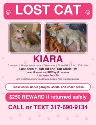 Lost Female Cat last seen Near Moraine golf course on Tait Rd near Stroop Rd, Kettering, OH 45409