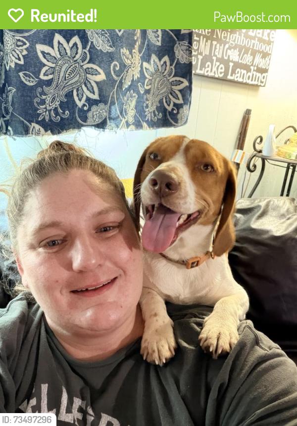 Reunited Male Dog last seen Hancock mill rs, Mineral, VA 23117