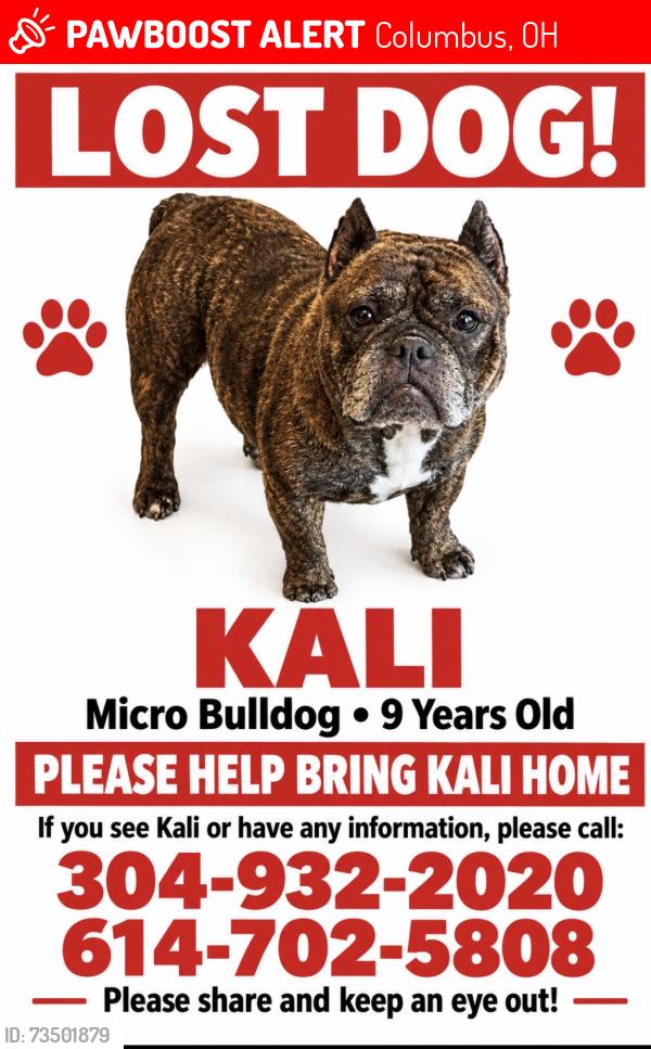 Lost Female Dog last seen Last seen near Chantilly Rd -but could be near Alum Creek or Williams Rd Area, Columbus, OH 43207