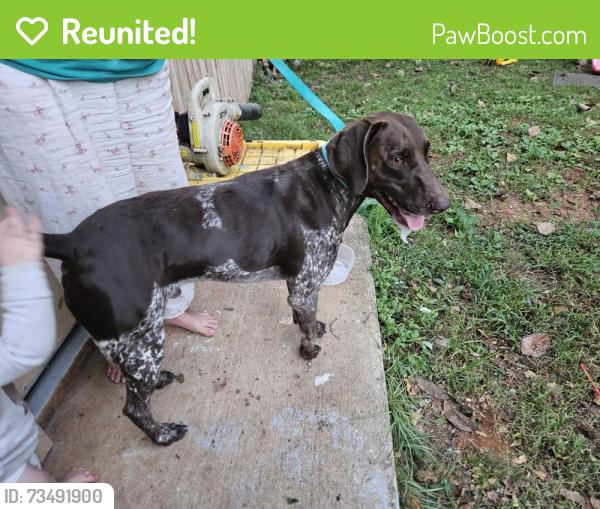 Reunited Male Dog last seen Near East Way Drive Semmes AL, Semmes, AL 36575