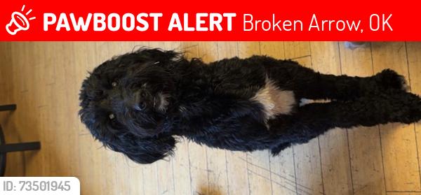 Lost Male Dog last seen Broken arrow, Broken Arrow, OK 74012