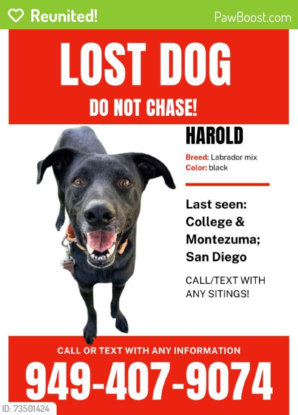 Reunited Male Dog last seen Near Tipton St, San Diego, CA 92115, USA, San Diego, CA 92115