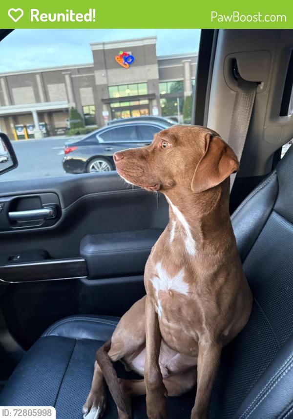 Reunited Male Dog last seen Old Plank Road by Caldwell Williams Road, Charlotte, NC 28213