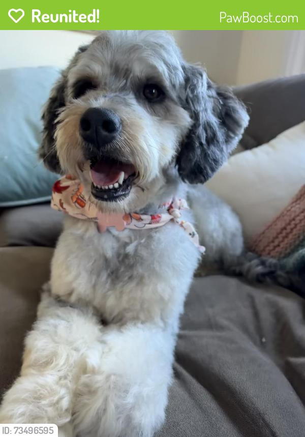 Reunited Female Dog last seen Kooiman Ave and Taylor, Grand Haven, MI 49417