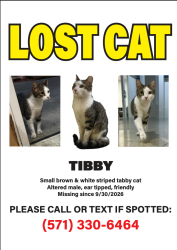 Lost Male Cat last seen Near Bren Mar Dr, 195, Lincolnia, VA 22312