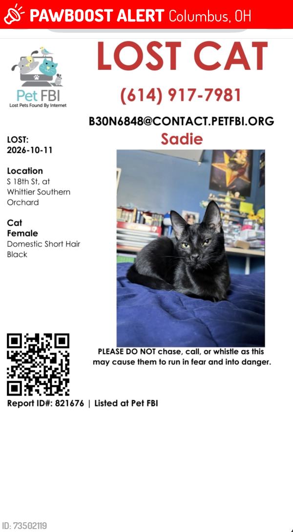 Lost Female Cat last seen 18th and Whittier, Columbus, OH 43206