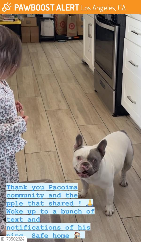 Found/Stray Male Dog last seen Laurel Canyon Pacoima, Los Angeles, CA 91331