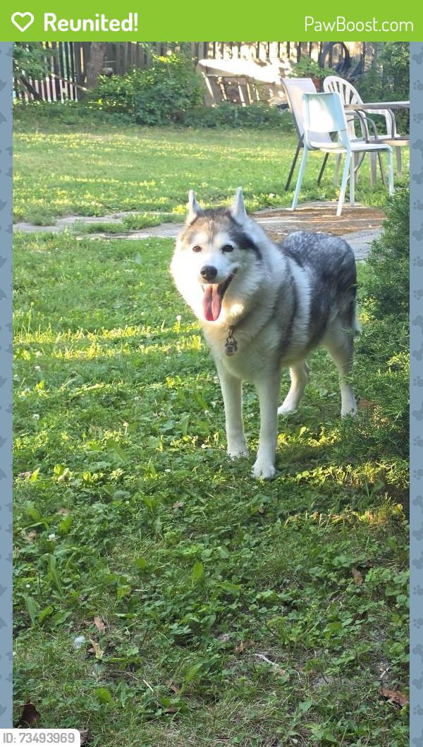 Reunited Female Dog last seen Queensbridge Drive/Rathburn, Mississauga, ON L5C 3K8