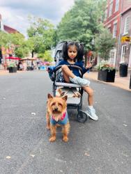 Lost Male Dog last seen Went to pee off Owen road, Glassmanor, MD 20745