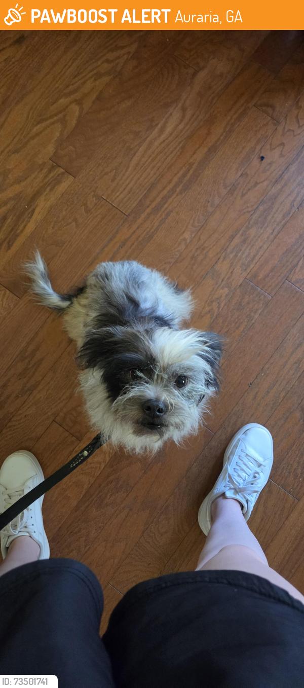 Found/Stray Female Dog last seen Auraria road, Auraria, GA 30533