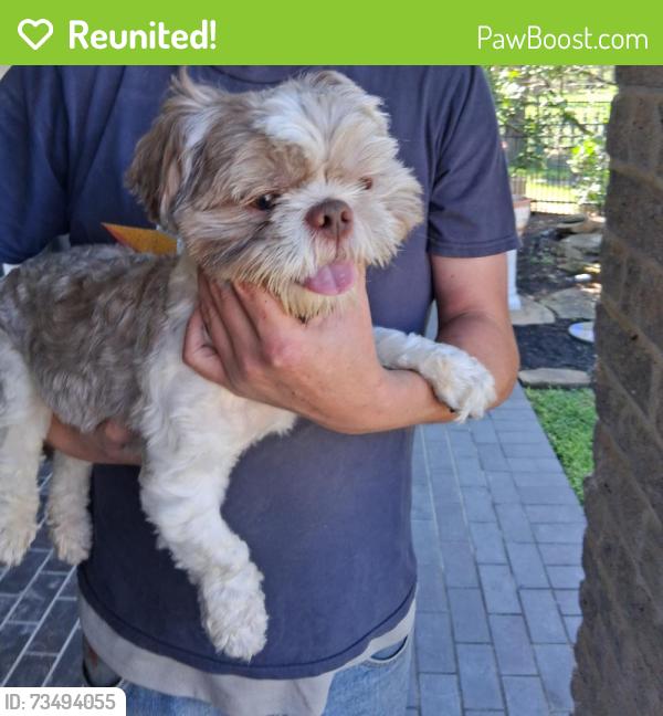 Reunited Male Dog last seen Near Cypresswood 77070, Houston, TX 77070
