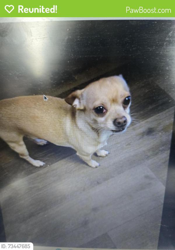 Reunited Male Dog last seen Near Larner Road, Surrey, BC V3R 5K2