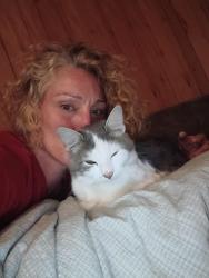 Lost Male Cat last seen Chateau apmts, 34th Ave e and University Blvd e tuscaloosa, Tuscaloosa, AL 35404