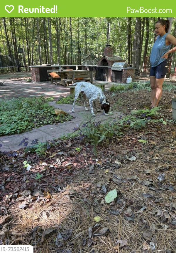 Reunited Male Dog last seen Borland Rd, North Carolina, USA, Orange County, NC 27278