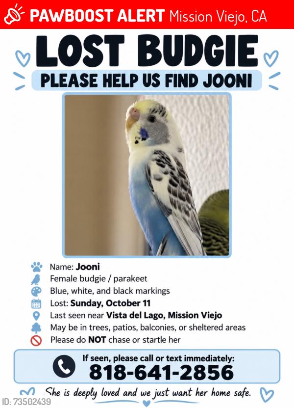 Lost Female Bird last seen Santa margarita pkwy, Mission Viejo, CA 92692