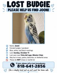 Lost Female Bird last seen Santa margarita pkwy, Mission Viejo, CA 92692
