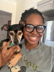 Reunited Male Dog last seen In the frost farms 2 neighborhood, DeSoto, TX 75115