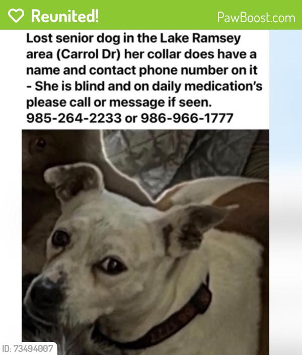Reunited Female Dog last seen Carrol Drive and Lake Ramsey Road, St. Tammany Parish, LA 70435