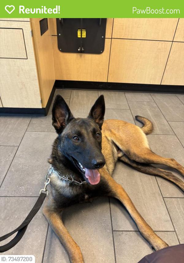 Reunited Male Dog last seen Near Link Dr, Duncanville, TX 75116, USA, Duncanville, TX 75116