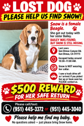 Reunited Female Dog last seen San Dimas Canyon Rd near Golf course crossing, San Dimas, CA 91773